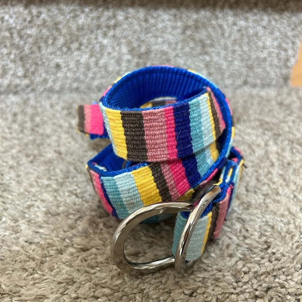 A Tail We Could Wag women’s striped belt with silver buckle. Colorful. Dog lover - Picture 2 of 10